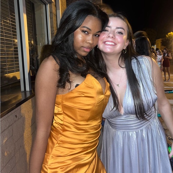 LUCY IN THE SKY Antionette Fit and Flare Dress in Grey Shimmer - Picture 10 of 10